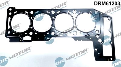 Gasket, cylinder head Dr.Motor Automotive DRM61203