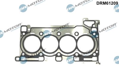 Gasket, cylinder head Dr.Motor Automotive DRM61209