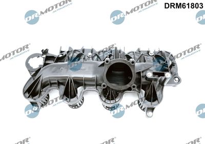 Intake Manifold Module Dr.Motor Automotive DRM61803