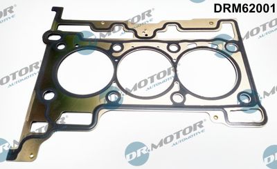 Gasket, cylinder head Dr.Motor Automotive DRM62001