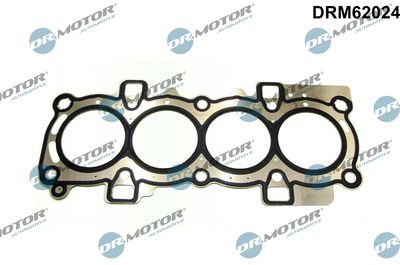 Gasket, cylinder head Dr.Motor Automotive DRM62024