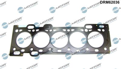 Gasket, cylinder head Dr.Motor Automotive DRM62036