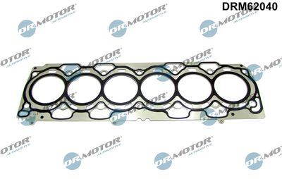 Gasket, cylinder head Dr.Motor Automotive DRM62040