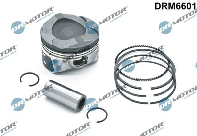 Piston Dr.Motor Automotive DRM6601