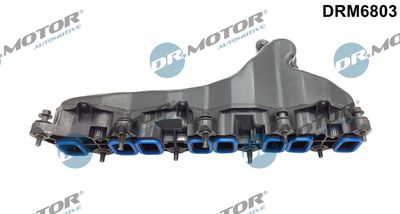 Intake Manifold Module Dr.Motor Automotive DRM6803