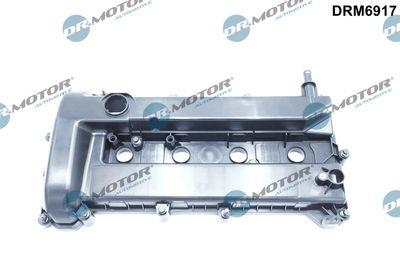 Cylinder Head Cover Dr.Motor Automotive DRM6917