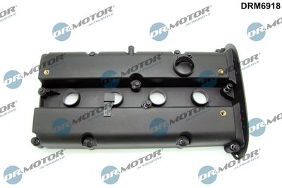 Cylinder Head Cover Dr.Motor Automotive DRM6918