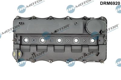Cylinder Head Cover Dr.Motor Automotive DRM6920