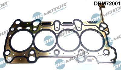 Gasket, cylinder head Dr.Motor Automotive DRM72001