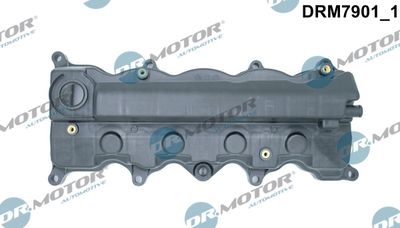 Cylinder Head Cover Dr.Motor Automotive DRM7901