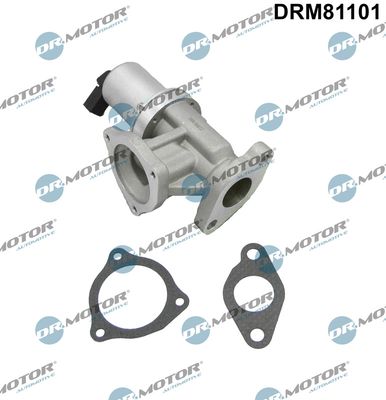 EGR Valve Dr.Motor Automotive DRM81101