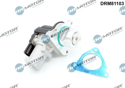 EGR Valve Dr.Motor Automotive DRM81103