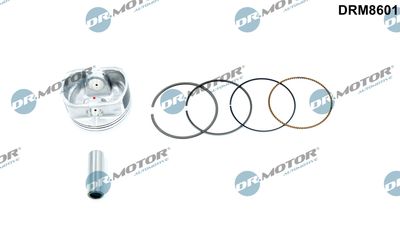 Piston Dr.Motor Automotive DRM8601
