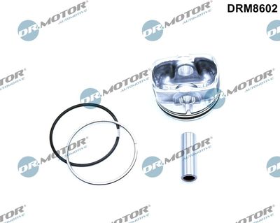 Piston Dr.Motor Automotive DRM8602