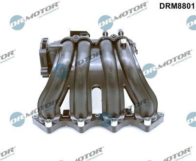 Intake Manifold Module Dr.Motor Automotive DRM8801