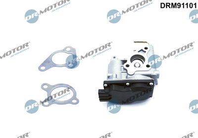 EGR Valve Dr.Motor Automotive DRM91101