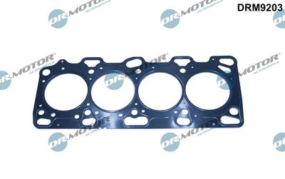 Gasket, cylinder head Dr.Motor Automotive DRM9203