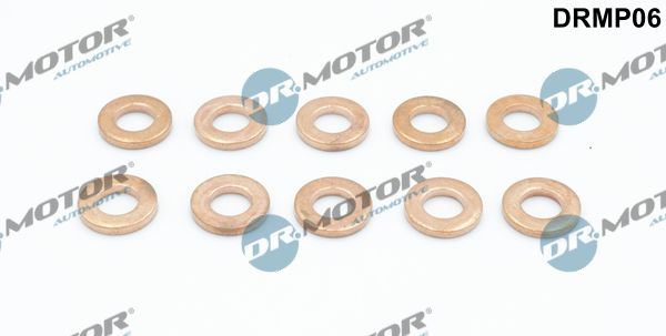 Dr.Motor Automotive DRMP06 Seal Kit, injector nozzle
