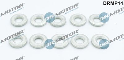 Seal Kit, injector nozzle Dr.Motor Automotive DRMP14