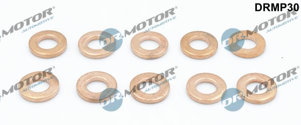 Dr.Motor Automotive DRMP30 Seal Kit, injector nozzle