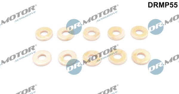 Dr.Motor Automotive DRMP55 Seal Kit, injector nozzle