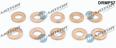 Seal Kit, injector nozzle Dr.Motor Automotive DRMP57