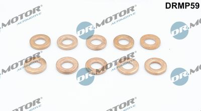 Seal Kit, injector nozzle Dr.Motor Automotive DRMP59