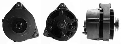 Alternator DRI 211104902