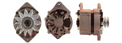 Alternator DRI 219113902