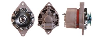 Alternator DRI 244101282