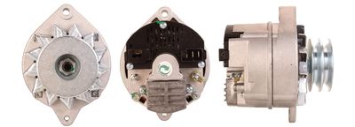 Alternator DRI 244103702