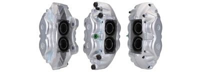 Brake Caliper DRI 3225000