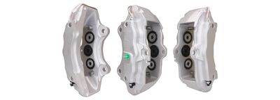 Brake Caliper DRI 3289400