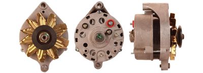 Alternator DRI 519003612