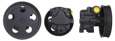 Hydraulic Pump, steering DRI 715520207