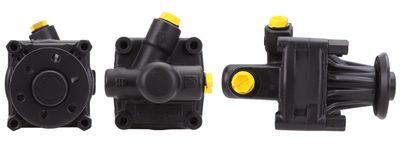 Hydraulic Pump, steering DRI 715520454