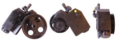 Hydraulic Pump, steering DRI 715520465