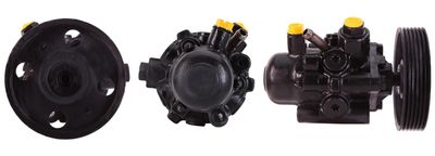 Hydraulic Pump, steering DRI 715520504