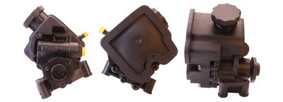 Hydraulic Pump, steering DRI 715520815