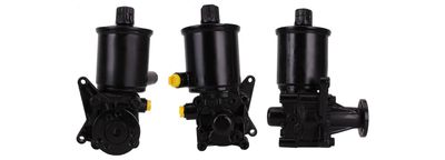Hydraulic Pump, steering DRI 715520860
