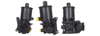 Hydraulic Pump, steering DRI 715520869