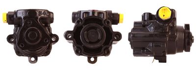 Hydraulic Pump, steering DRI 715520954