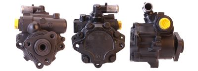 Hydraulic Pump, steering DRI 715520962