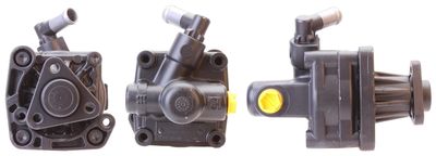 Hydraulic Pump, steering DRI 715520974