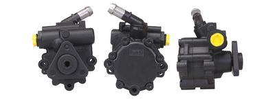 Hydraulic Pump, steering DRI 715521056