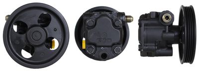Hydraulic Pump, steering DRI 715521260