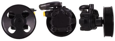 Hydraulic Pump, steering DRI 715521329
