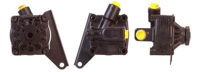 Hydraulic Pump, steering DRI 715521363
