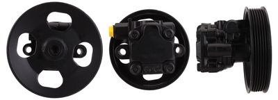 Hydraulic Pump, steering DRI 715521370
