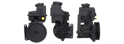 Hydraulic Pump, steering DRI 715521376